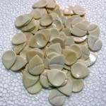 244380_396331933786359_760268498_o